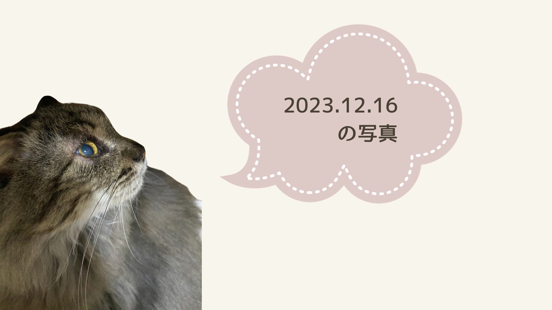 2023.12.16　【もぅちゃん】