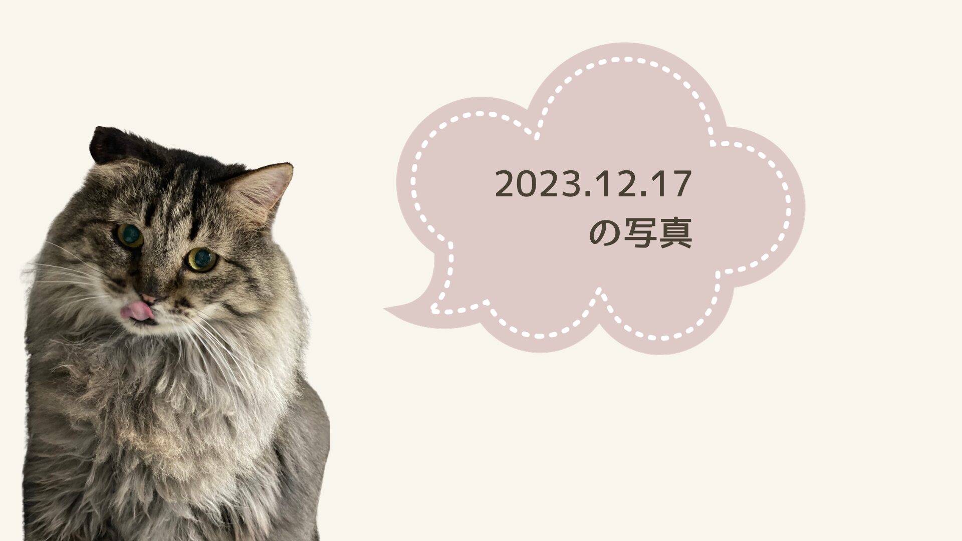 2023.12.17　【もぅちゃん】