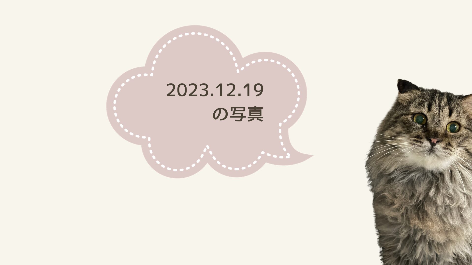 2023.12.19　【もぅちゃん】